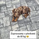 Appartement Sniadanie Do Lozka