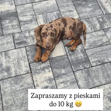 Lägenhet Sniadanie Do Lozka