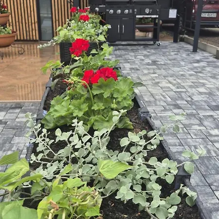 Lägenhet Sniadanie Do Lozka